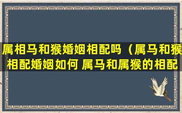 属相马和猴婚姻相配吗（属马和猴相配婚姻如何 属马和属猴的相配吗）